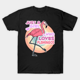 Just a Girl who loves Flamingos T-Shirt